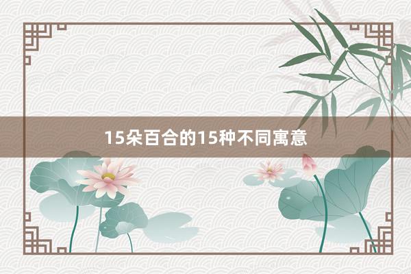 15朵百合的15种不同寓意