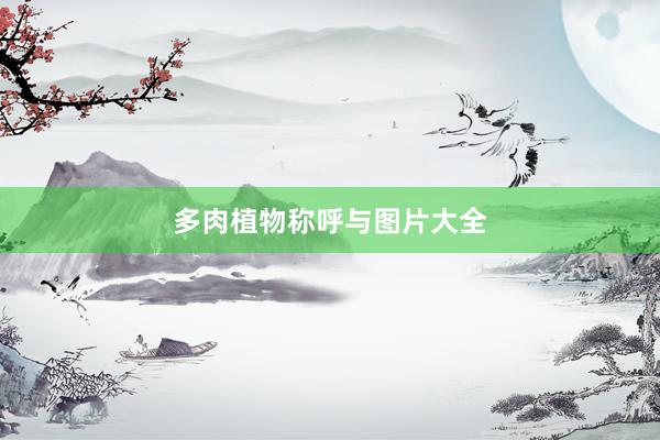 多肉植物称呼与图片大全
